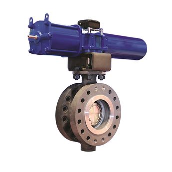 Vanessa Series 30,000 Standard Triple Offset Valve | EMR